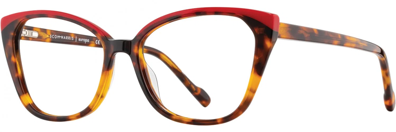 Scott Harris SH846 Eyeglasses - view 12